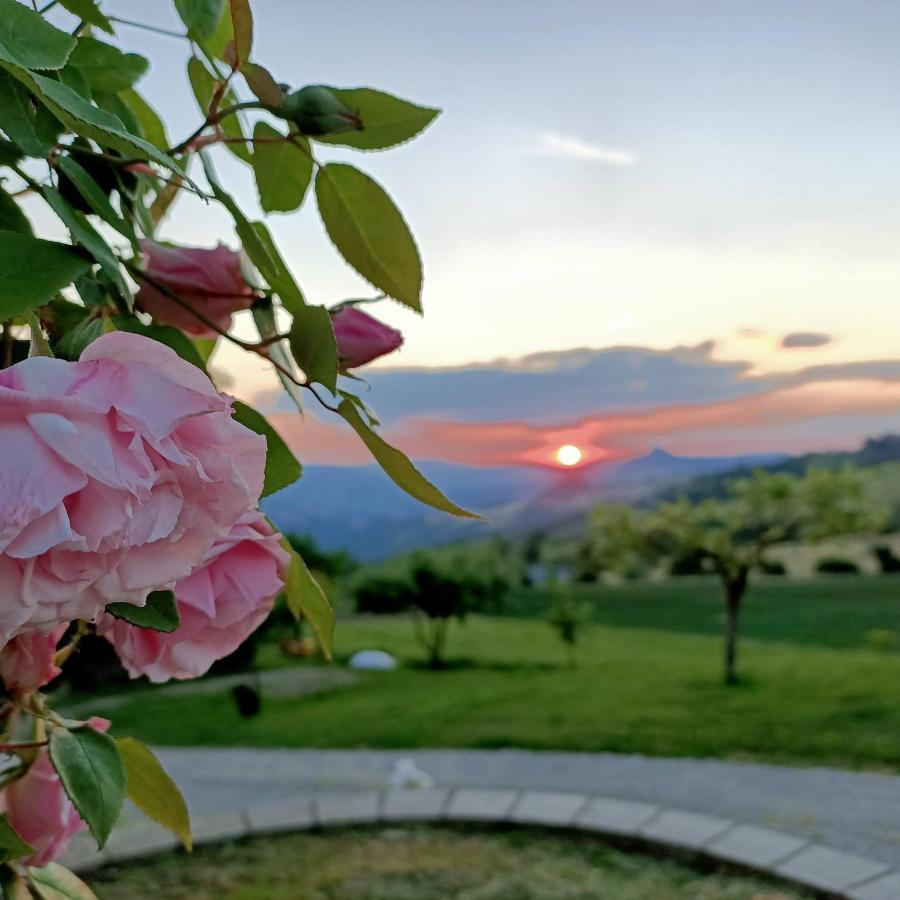 Agriturismo La Casetta - ospitalità rurale familiare Montese Exterior foto
