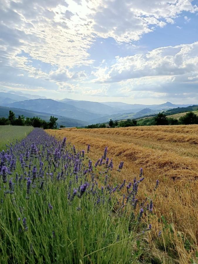 Agriturismo La Casetta - ospitalità rurale familiare Montese Exterior foto